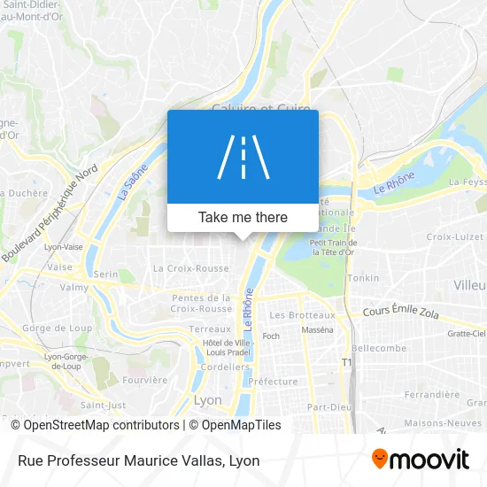 Rue Professeur Maurice Vallas map