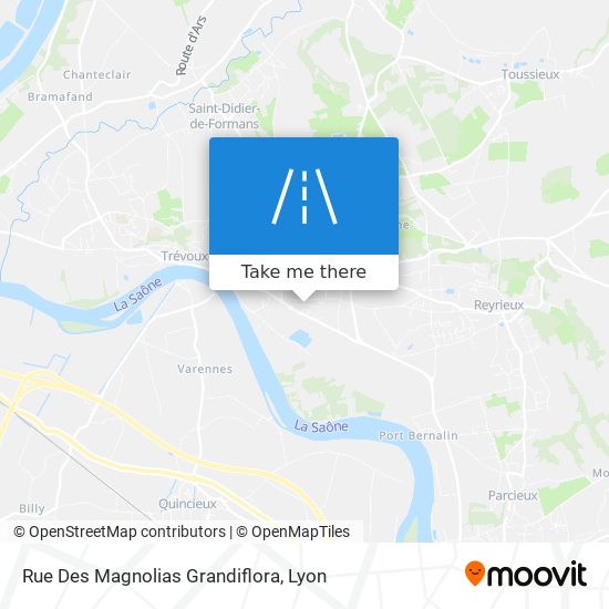 Rue Des Magnolias Grandiflora map