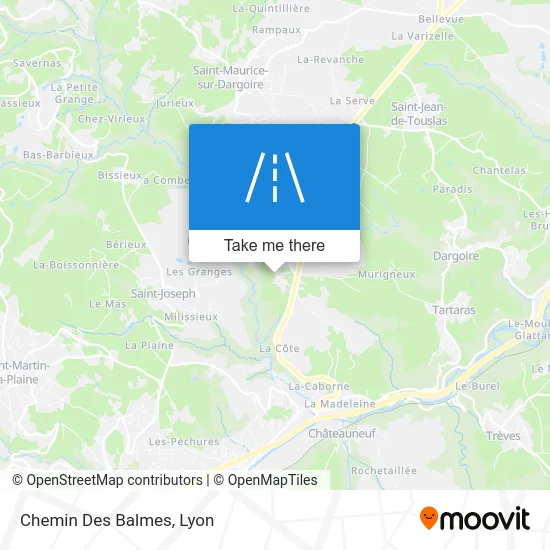 Chemin Des Balmes map