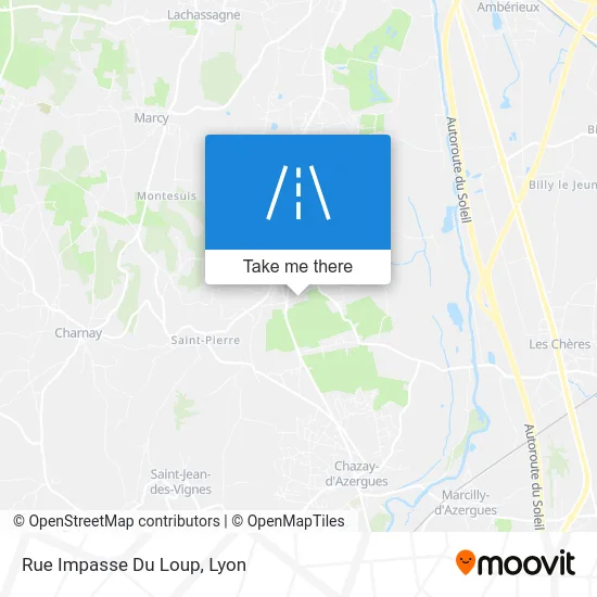 Rue Impasse Du Loup map