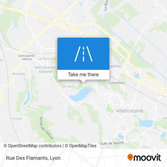 Rue Des Flamants map