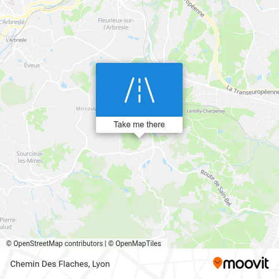 Chemin Des Flaches map