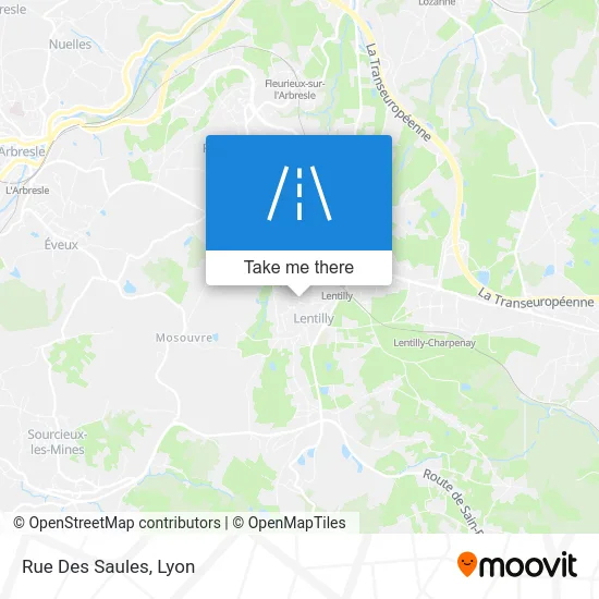 Rue Des Saules map