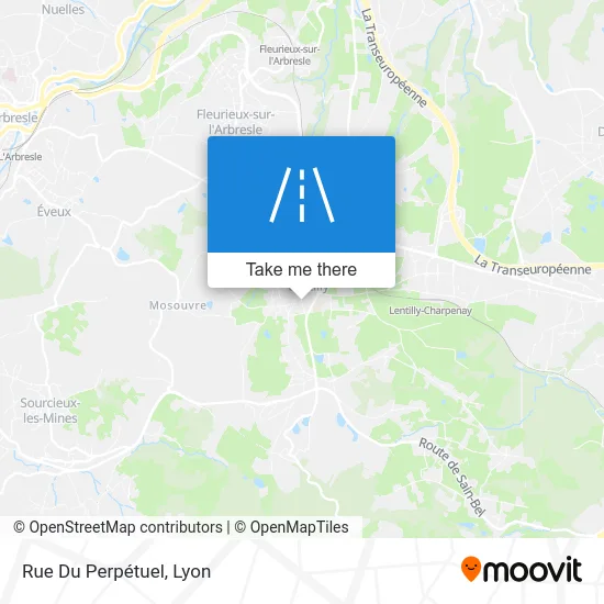 Rue Du Perpétuel map