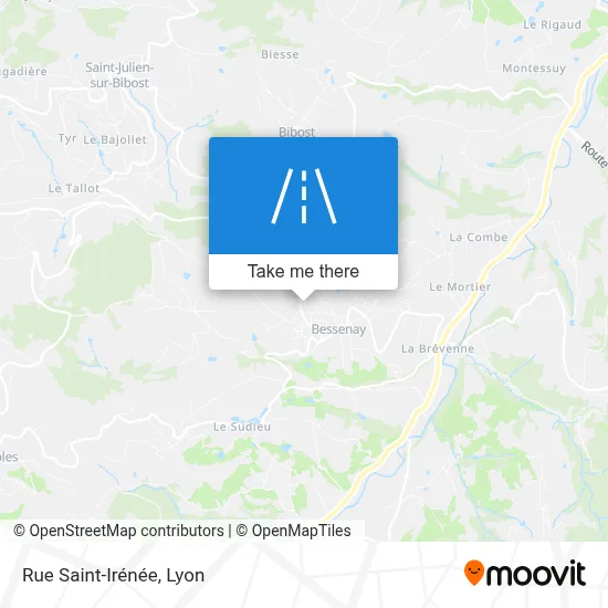 Rue Saint-Irénée map