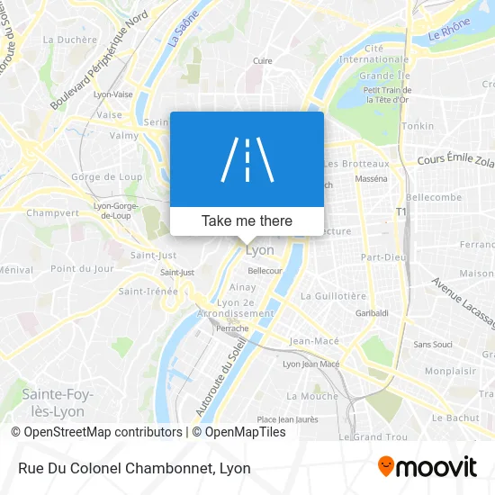 Rue Du Colonel Chambonnet map