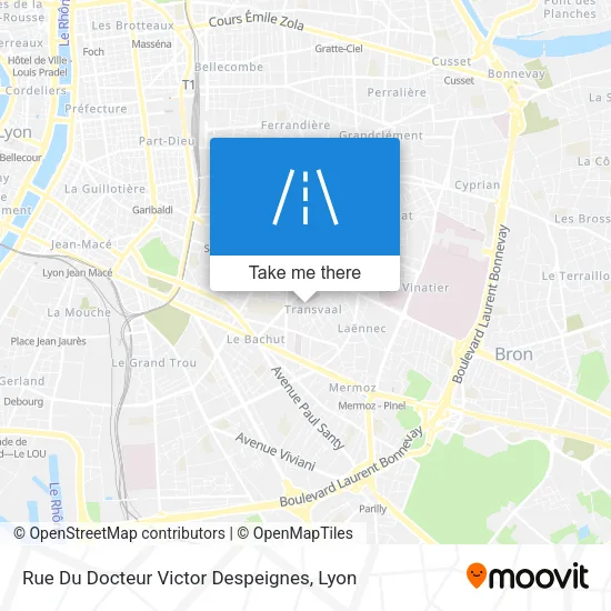 Rue Du Docteur Victor Despeignes map
