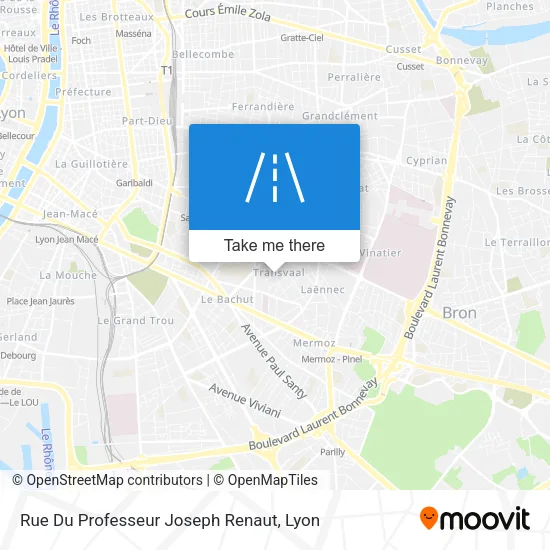 Rue Du Professeur Joseph Renaut map