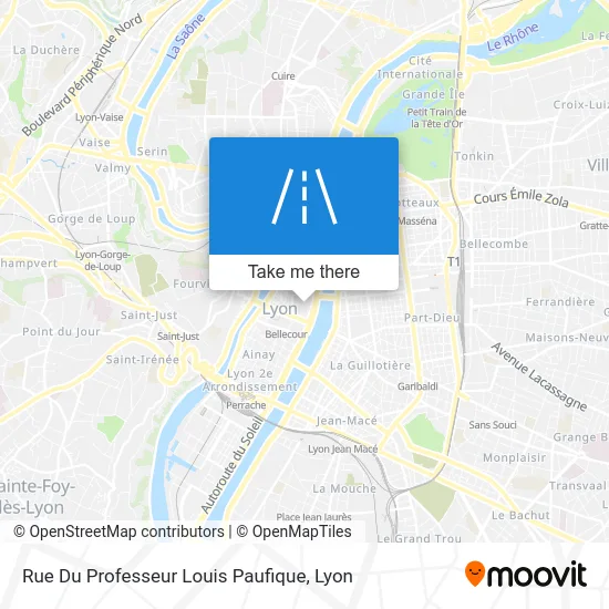 Rue Du Professeur Louis Paufique map