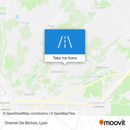 Chemin De Bichon map