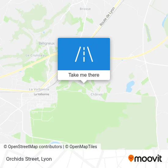 Rue Des Orchidées map