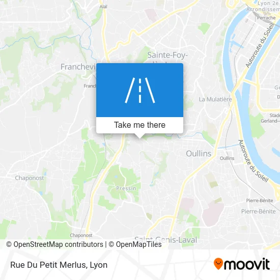 Rue Du Petit Merlus map