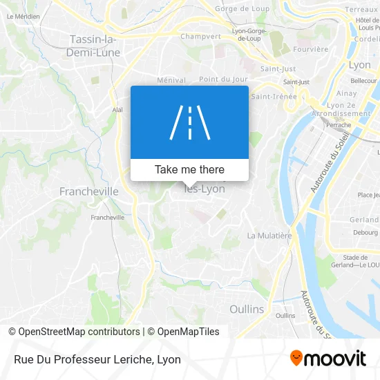 Rue Du Professeur Leriche map