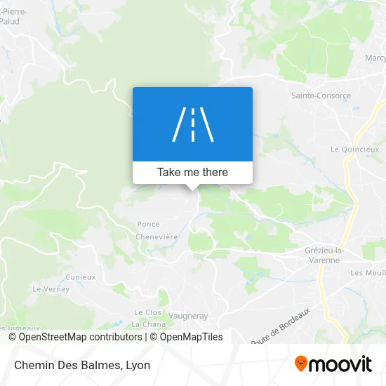 Chemin Des Balmes map