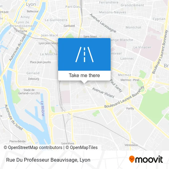 Rue Du Professeur Beauvisage map