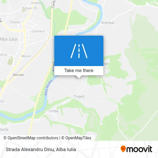Strada Alexandru Dinu map