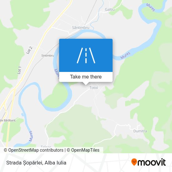 Strada Șopârlei map