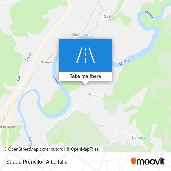 Strada Pruncilor map