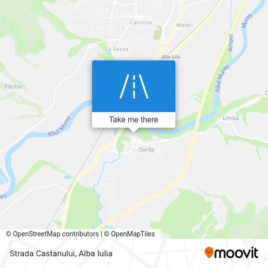 Strada Castanului map