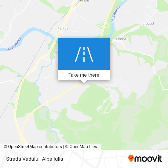 Strada Vadului map