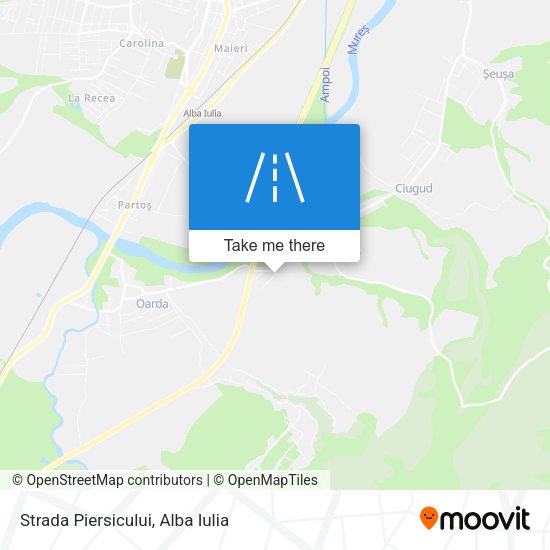 Strada Piersicului map
