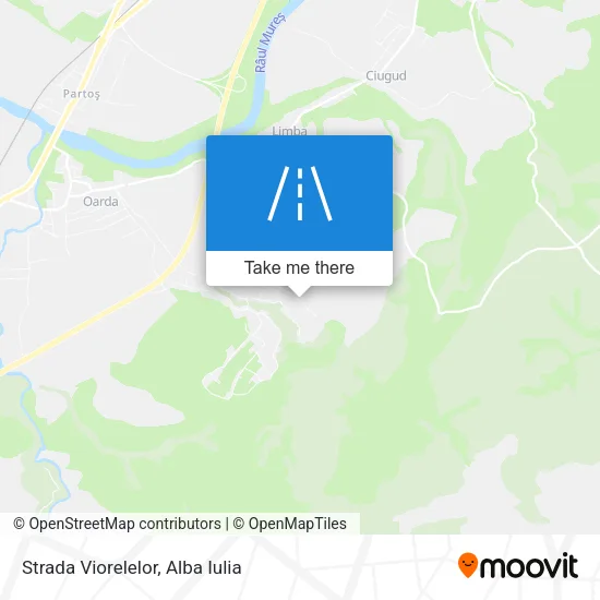 Strada Viorelelor map