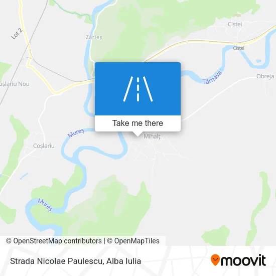Strada Nicolae Paulescu map