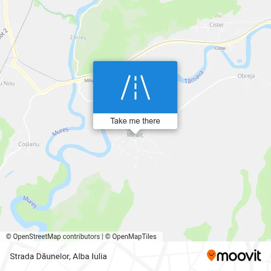 Strada Dăunelor map