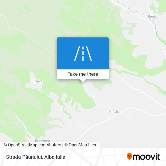 Strada Păunului map