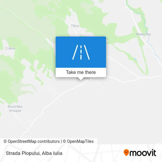 Strada Plopului map