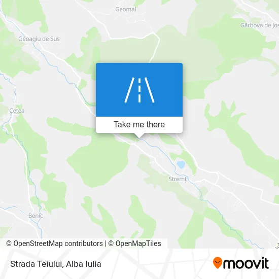 Strada Teiului map