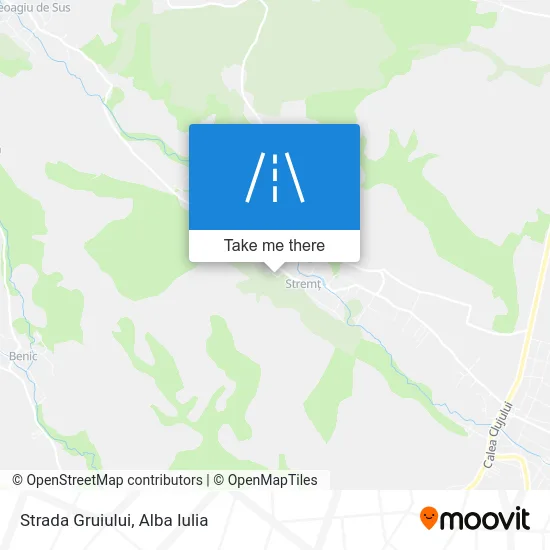 Strada Gruiului map
