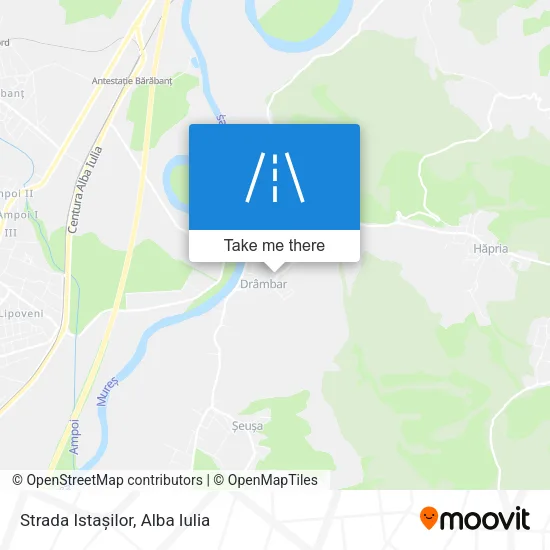 Strada Istașilor map