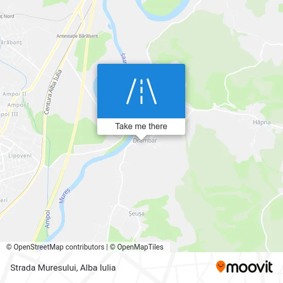 Strada Muresului map