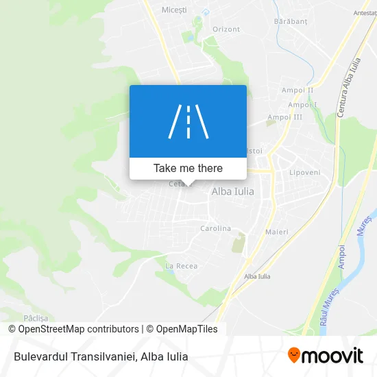 Bulevardul Transilvaniei map