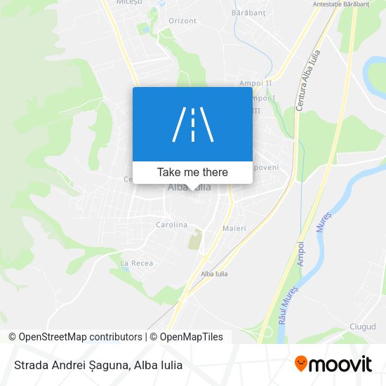 Strada Andrei Șaguna map