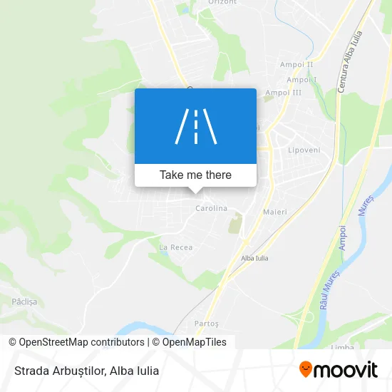 Strada Arbuștilor map