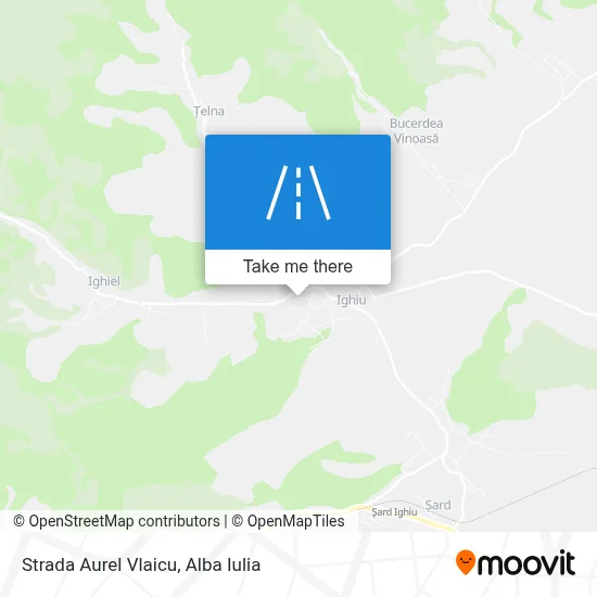 Strada Aurel Vlaicu map