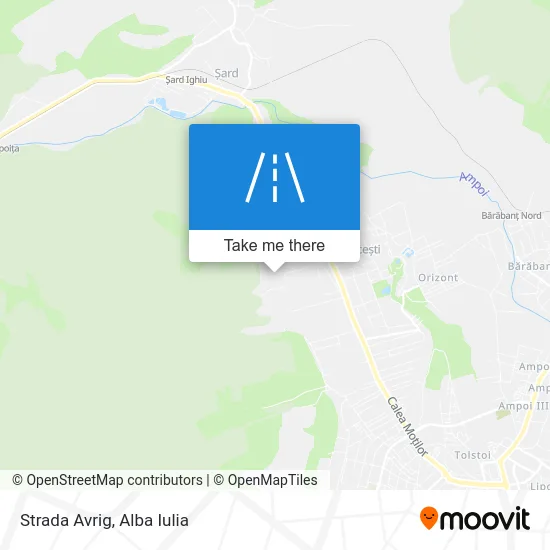 Strada Avrig map