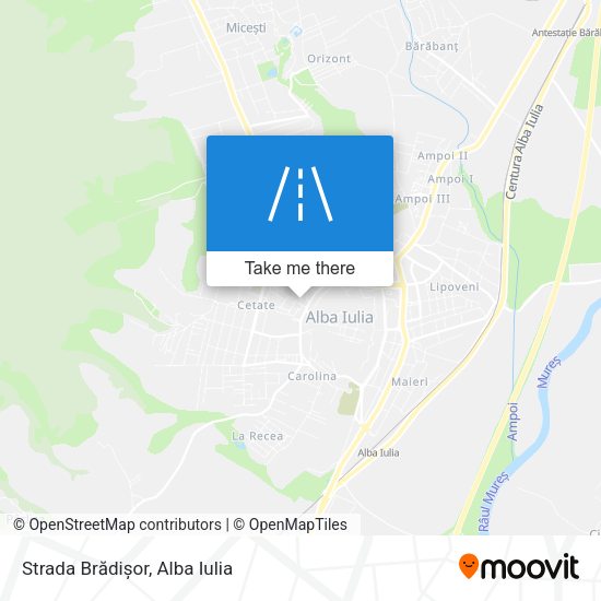 Strada Brădișor map