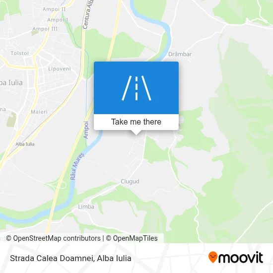 Strada Calea Doamnei map