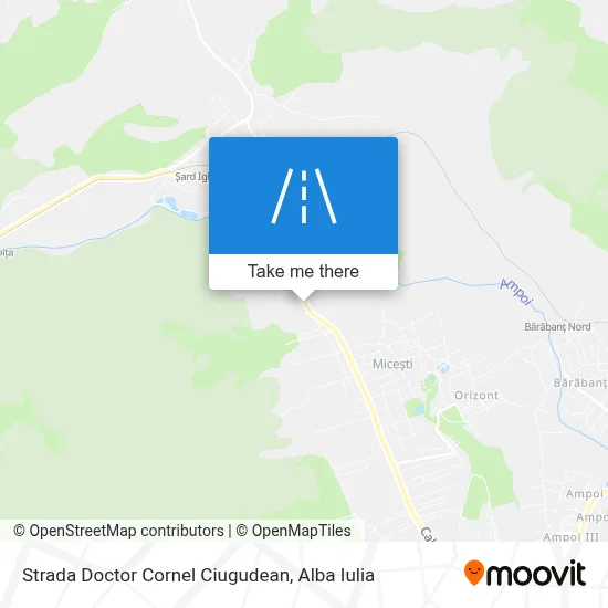Strada Doctor Cornel Ciugudean map