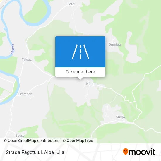 Strada Făgetului map