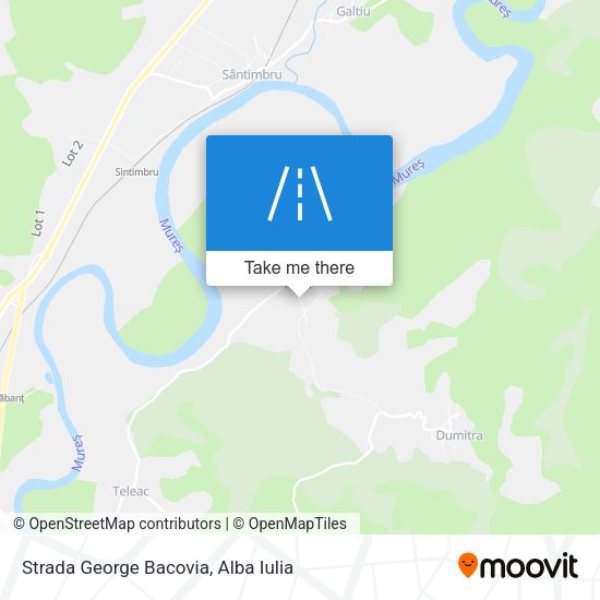 Strada George Bacovia map
