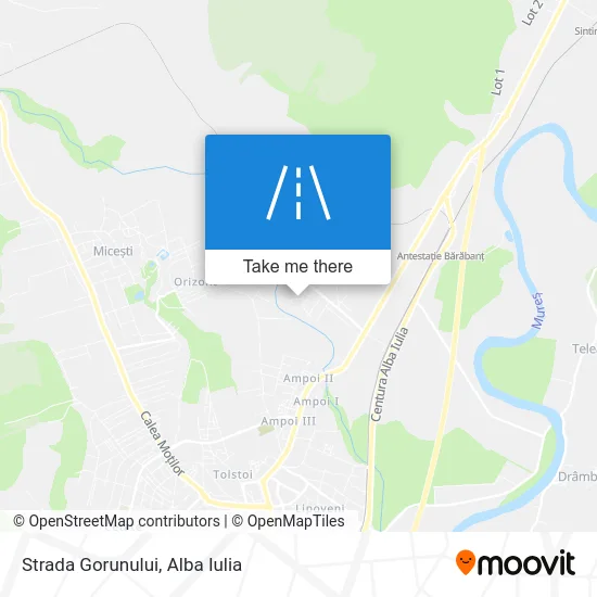 Strada Gorunului map