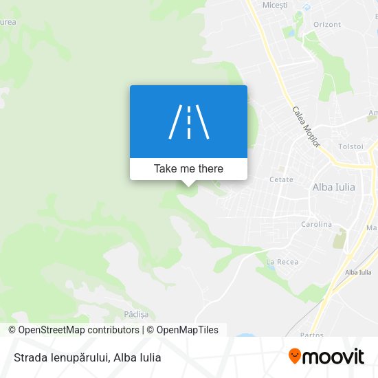 Strada Ienupărului map