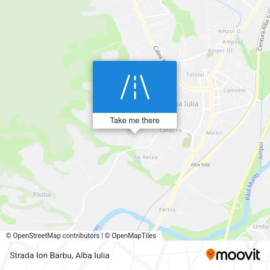 Strada Ion Barbu map