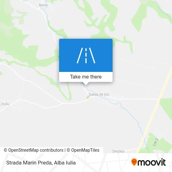Strada Marin Preda map