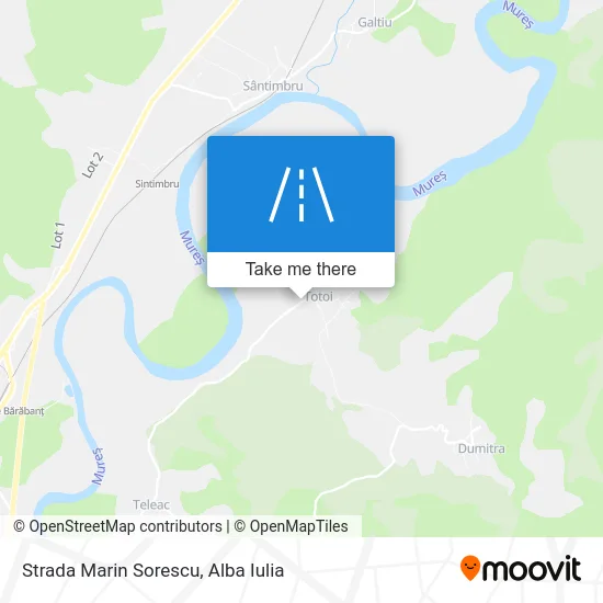 Strada Marin Sorescu map