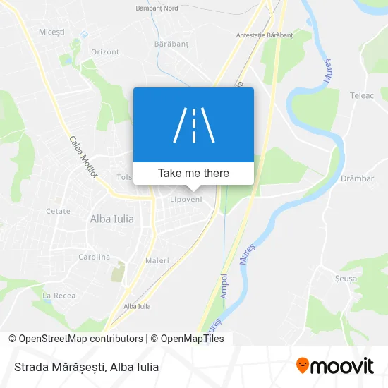 Strada Mărășești map